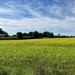 Schimmer Апартаменты *