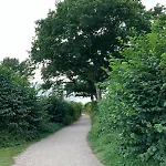 Schimmer Busdorf