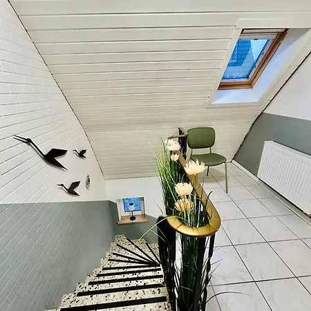 Appartement Schimmer Busdorf