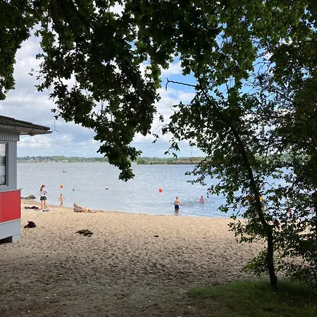 Schimmer * Busdorf