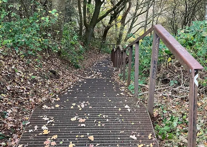 Apartment Schimmer *