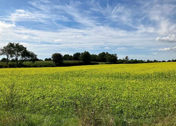 Schimmer Apartment *